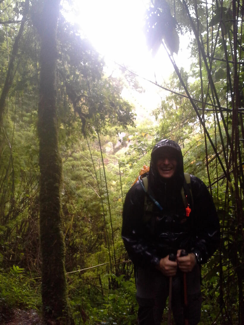 raining in the woods