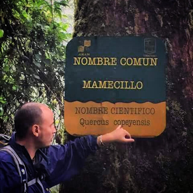 nature interpretation