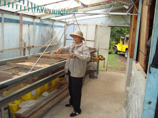 coffee tours coffee tours